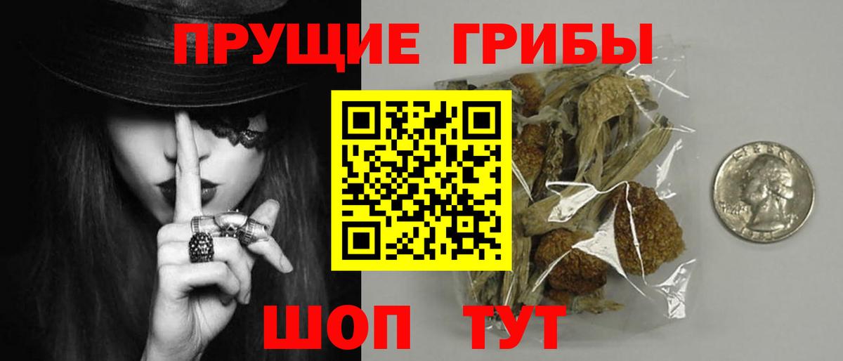 Галлюциногенные грибы прущие грибы Бутурлиновка